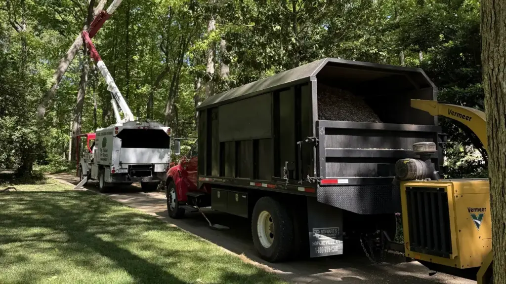 Large trucks trim limbs as part of tree maintenance