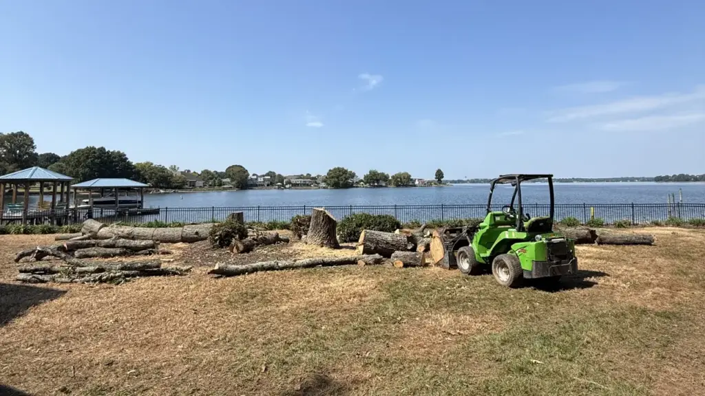 A small green truck clears debris and prepares to clear the stumps of many trees