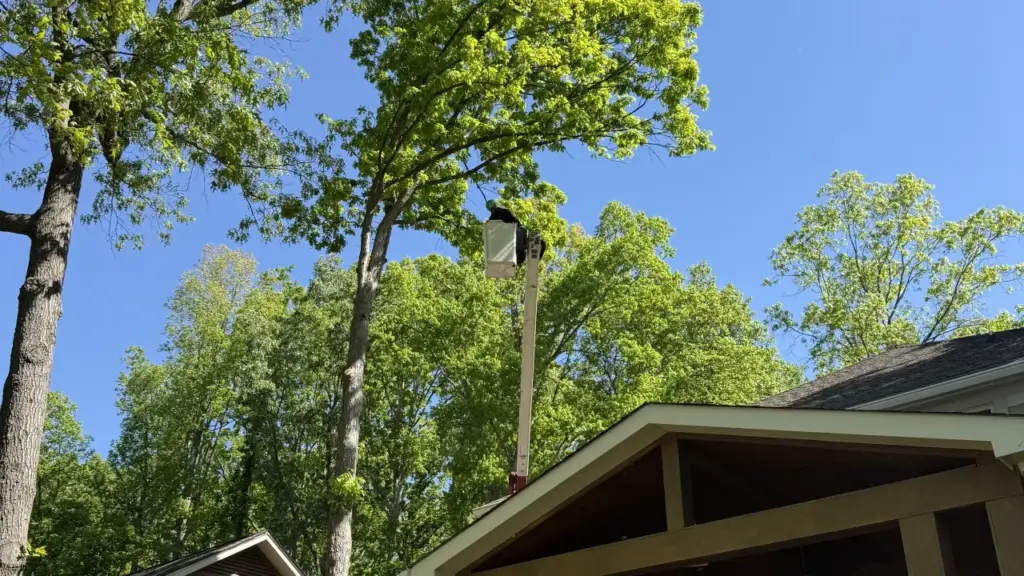 A tree service provider prunes tree branches overhanging a home
